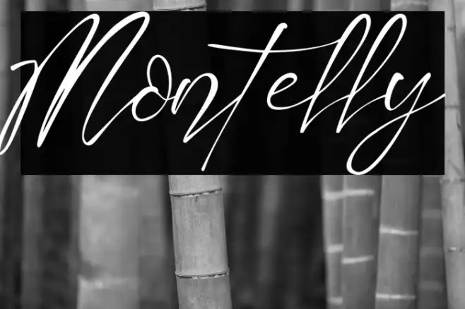 Montelly Example 1