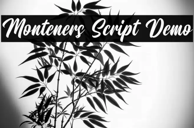 Monteners Script Demo Font examples