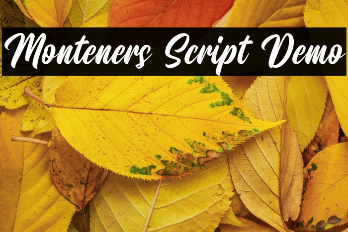 Monteners Script Demo Example 2