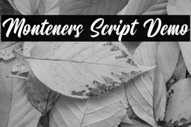 Monteners Script Demo Font examples