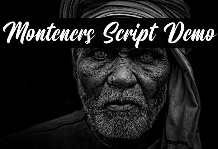 Monteners Script Demo Example 3