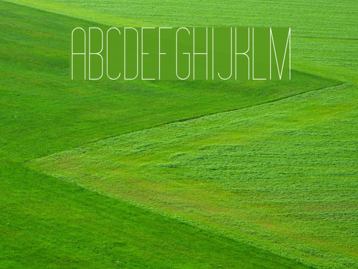 Montepetrum Thin Example 2