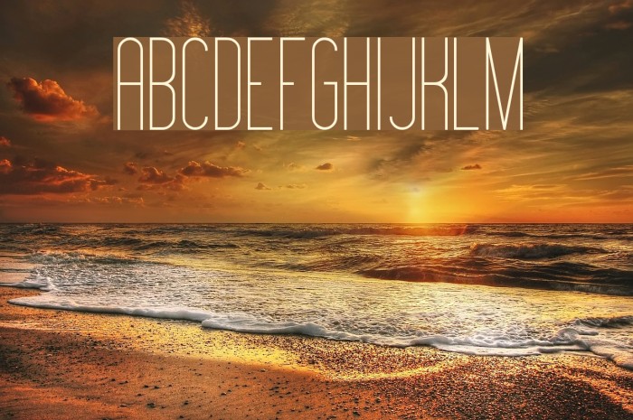 Montepetrum Example 2