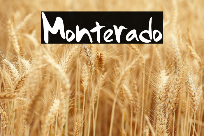 Monterado Example 2