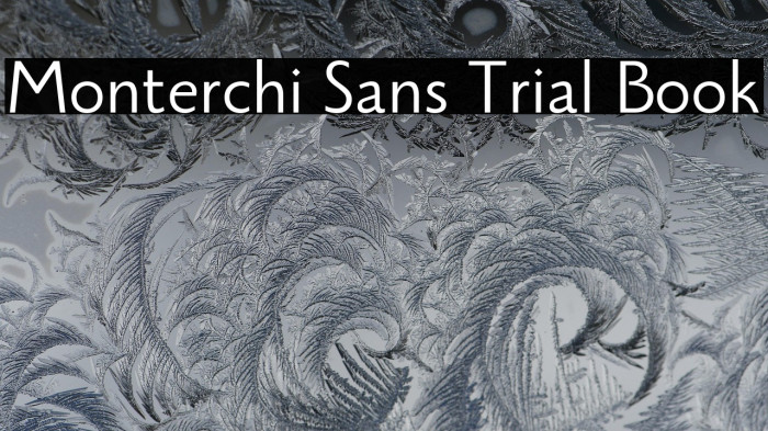 Monterchi Sans Trial Book Example 2