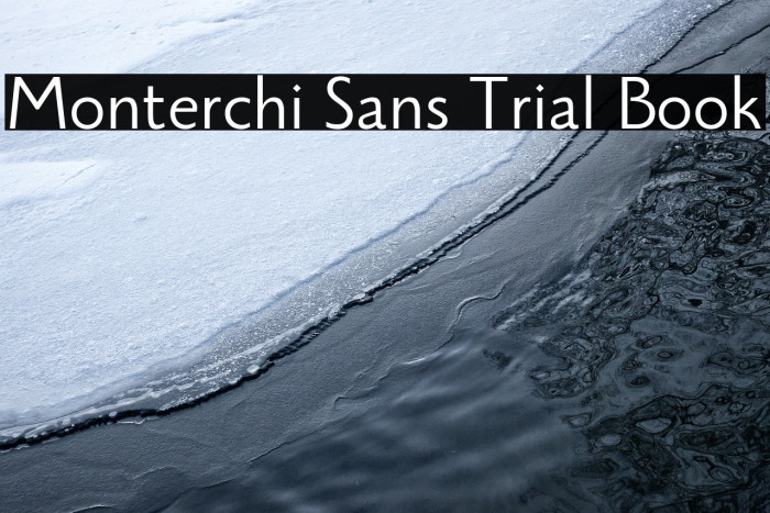 Monterchi Sans Trial Book Example 3