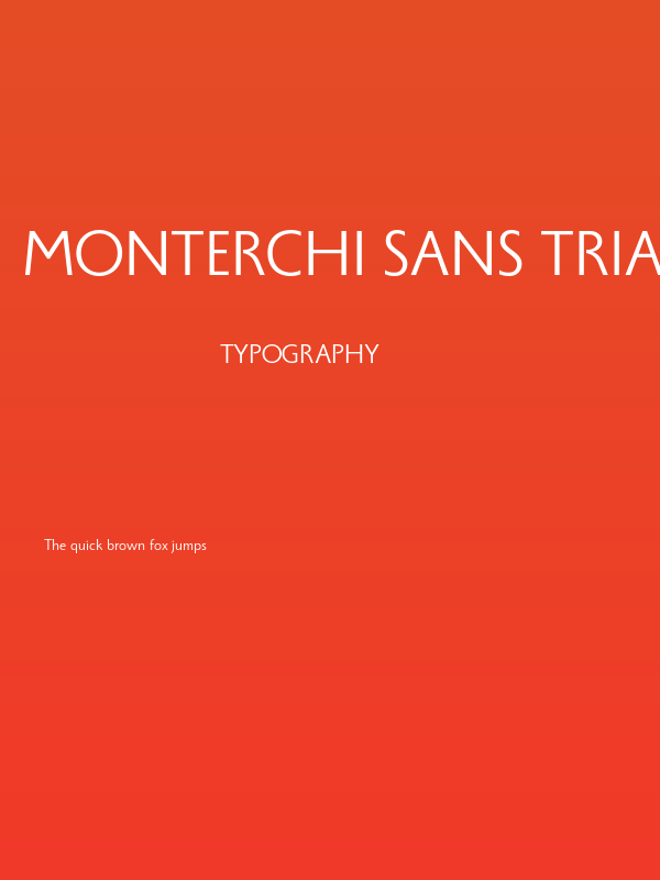 Monterchi Sans Trial Book Poster