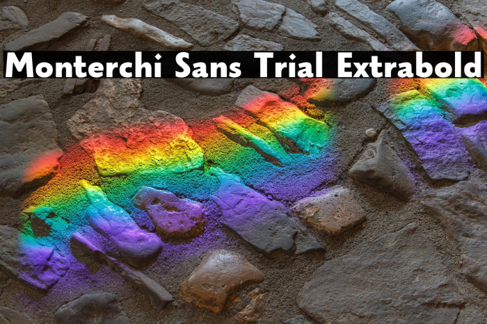 Monterchi Sans Trial Extrabold Example 1