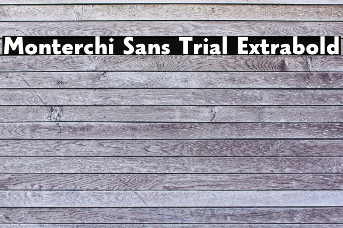 Monterchi Sans Trial Extrabold Example 2
