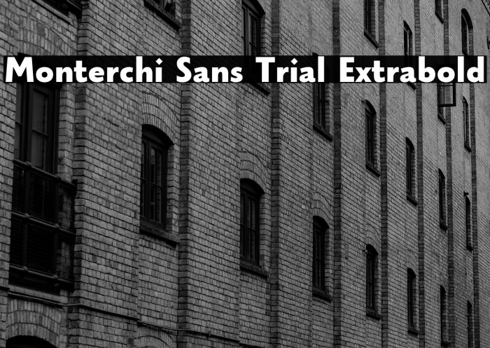 Monterchi Sans Trial Extrabold Example 3
