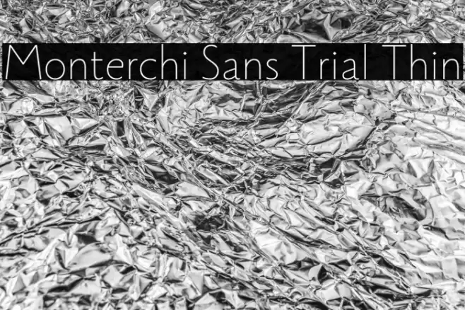 Monterchi Sans Trial Thin Font examples