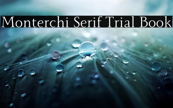 Monterchi Serif Trial Book Example 1