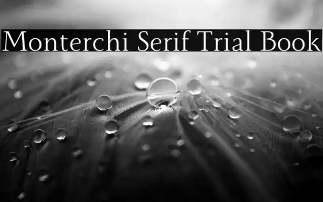 Monterchi Serif Trial Book Font examples