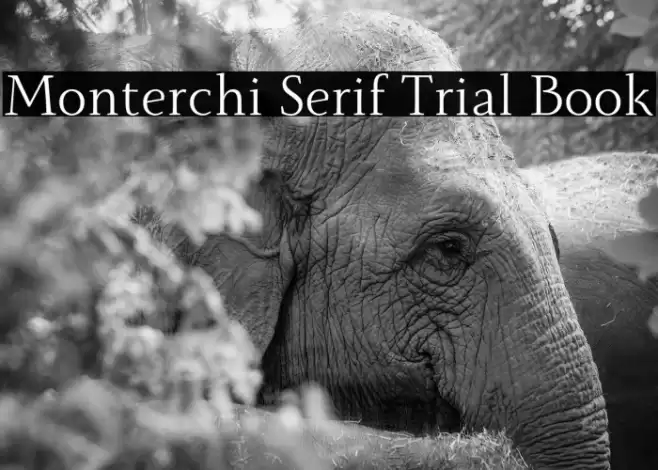 Monterchi Serif Trial Book Font examples