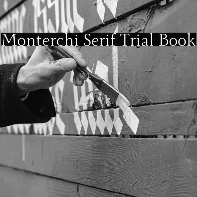 Monterchi Serif Trial Book Font examples