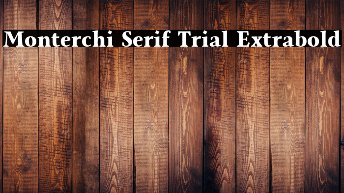 Monterchi Serif Trial Extrabold Example 2