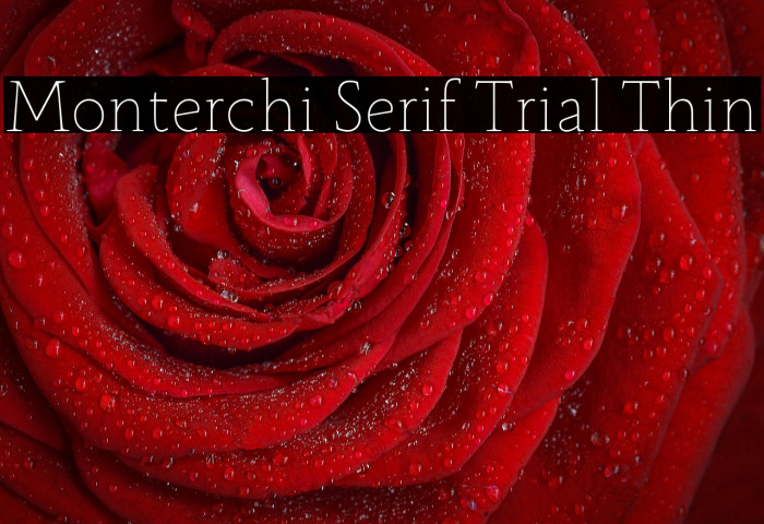 Monterchi Serif Trial Thin Example 2
