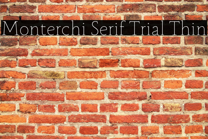 Monterchi Serif Trial Thin Example 3