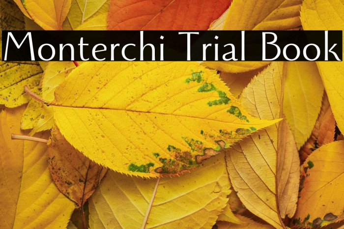Monterchi Trial Book Example 3