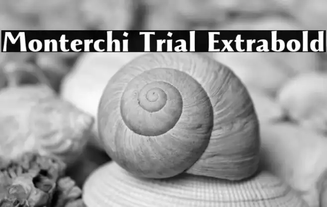 Monterchi Trial Extrabold Example 1