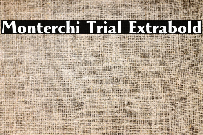 Monterchi Trial Extrabold Example 3