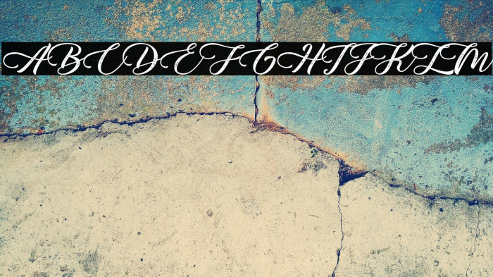 Monterey Bird - Personal Use Example 1