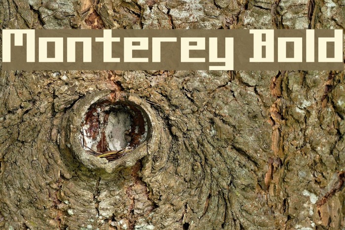 Monterey Bold Font examples