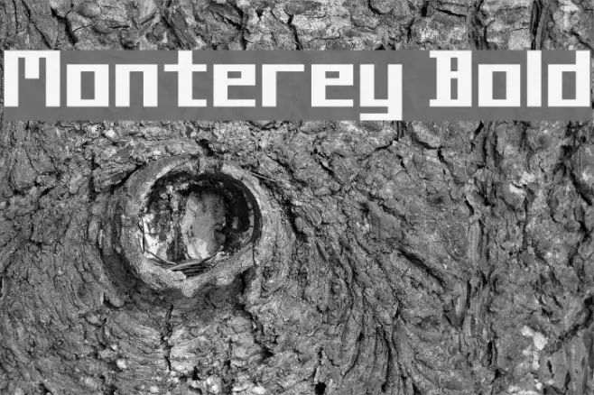 Monterey Bold Example 1