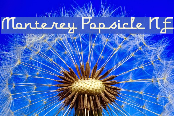Monterey Popsicle NF Font examples