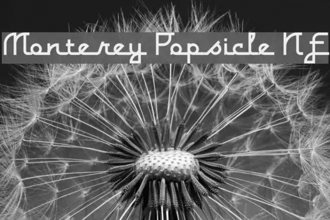 Monterey Popsicle NF Example 3