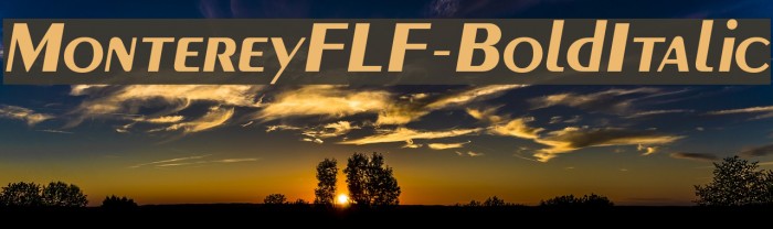 MontereyFLF-BoldItalic Font examples