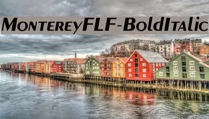 MontereyFLF-BoldItalic Font examples