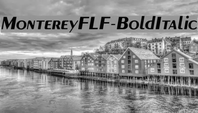 MontereyFLF-BoldItalic Example 2