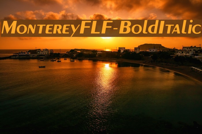 MontereyFLF-BoldItalic Font examples