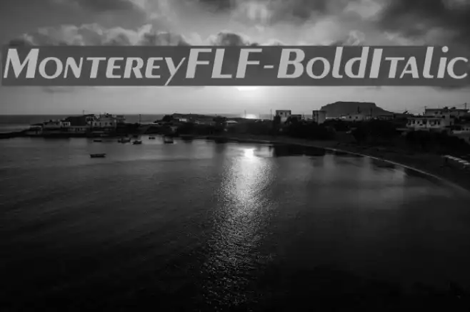 MontereyFLF-BoldItalic Example 3