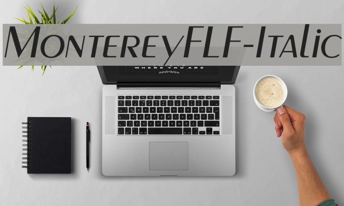 MontereyFLF-Italic Font examples