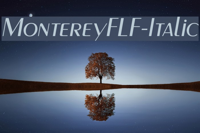 MontereyFLF-Italic Font examples