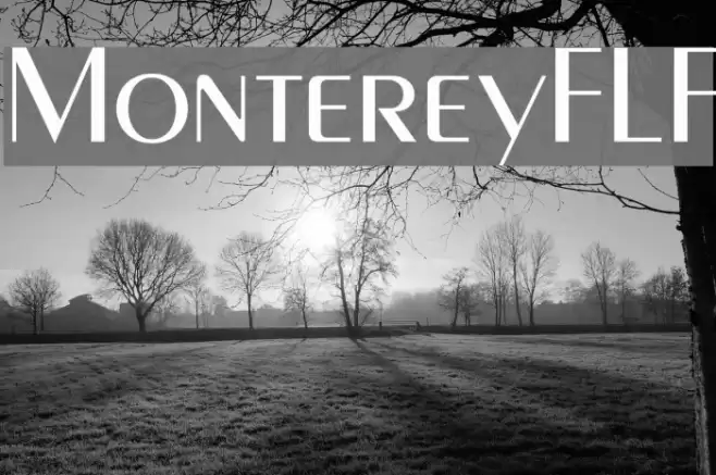 MontereyFLF Font examples