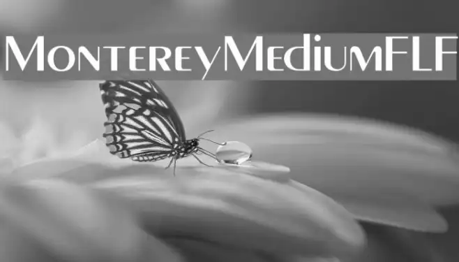 MontereyMediumFLF Example 2