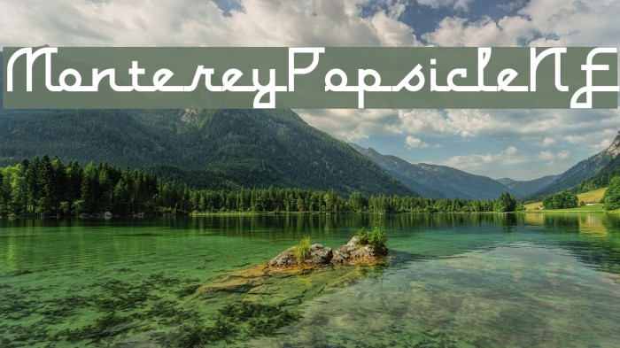 MontereyPopsicleNF Example 1