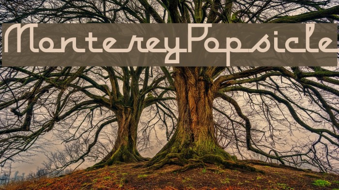 MontereyPopsicle Font examples