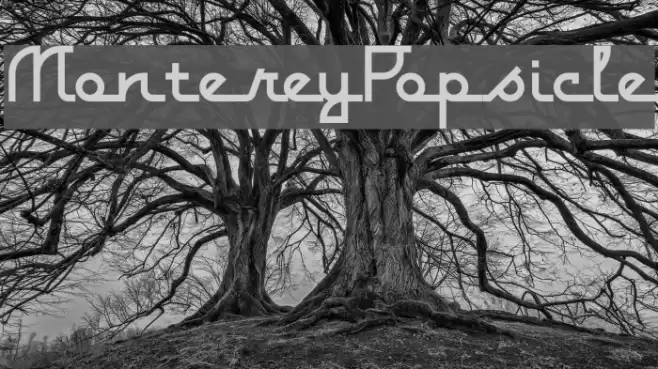MontereyPopsicle Font examples