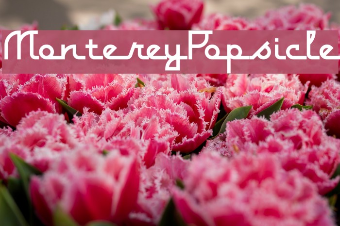 MontereyPopsicle Font examples
