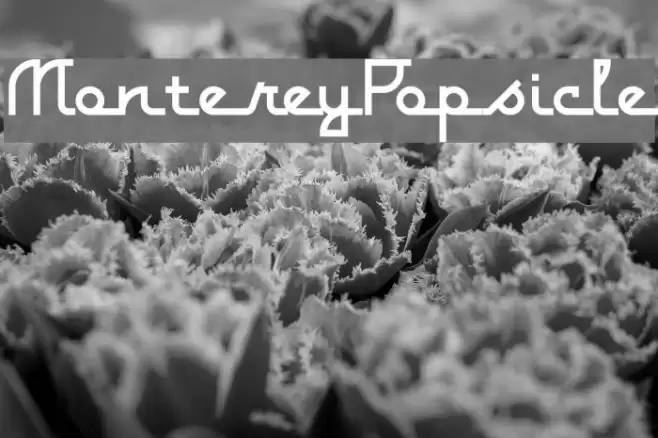 MontereyPopsicle Font examples