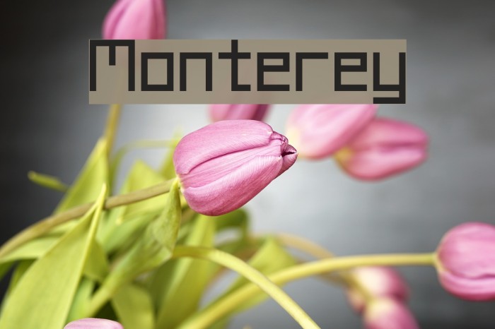 Monterey Font examples