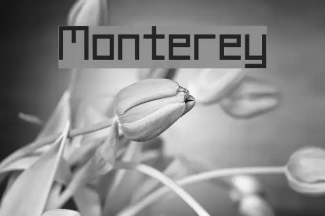 Monterey Example 1