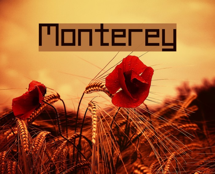 Monterey Font examples