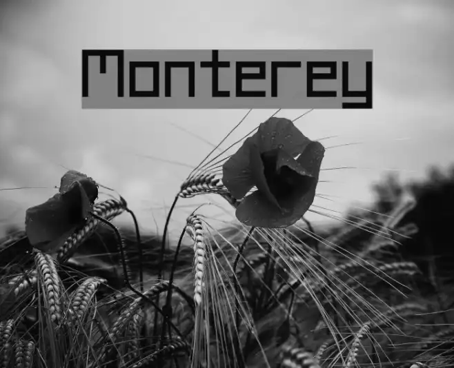 Monterey Example 2