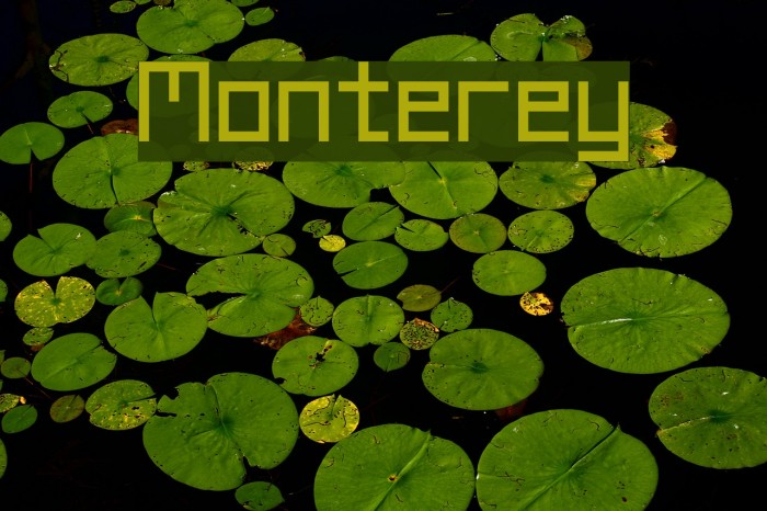 Monterey Font examples