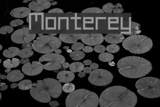 Monterey Example 3